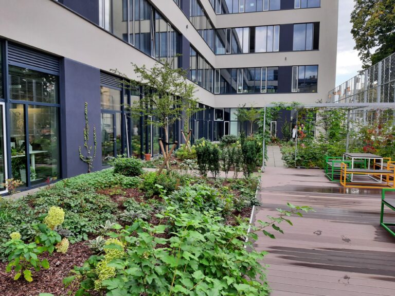 Dach zielony w uprawie intensywnej